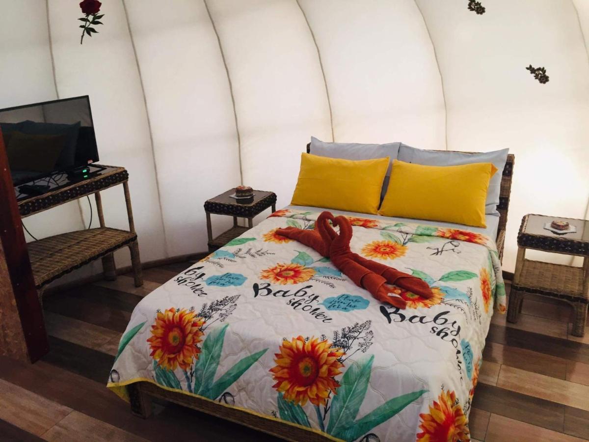 Shenanigans Glamping Resort Zamboanguita  Экстерьер фото